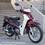 디앤에이모터스 CB115 시티베스트115 유로5플러스 앞디스크/뒤드럼 : 삼성오토바이총판