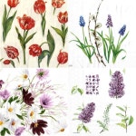 냅킨아트 전용 예쁜 냅킨 : 토탈공예