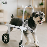 강아지 보행기 애견 슬개골 탈구 휠체어 보조기 보호대 : 공간녹백