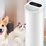 반려동물 공기청정기 털포집기 흡착 반려견동반 펫 먼지 고양이 연동 정화기 흡입기 화이트 : 비비패스