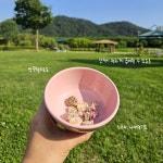 강아지 간식 노즈워크 코코넛볼 고구마볼 비건 저온 건조 야채 채소 저알러지 밥꾸 : 남다른 금댕이