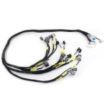 Civic Integra B16 B18 D16 Obd2 D&B 시리즈 CNCH-OBD2-1 임베디드 교체 액세서리 용 Tucked Budget 엔진 하네스 : 프린스타60