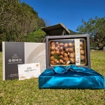 [산지직송]프리미엄 송화버섯 명절선물세트 고급선물용 송고버섯 가정용 500g : 금강버섯농장