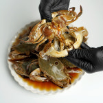 일품미식 삼점암꽃게 알찬 간장게장 2kg 1+1 : 일품미식