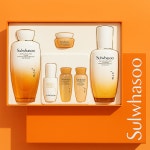 설화수 자음 2종 세트 기초 스킨 로션 : 주식회사 어메이징딜