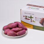 버들농산 영암 토울고구마 10kg : 햇살조은