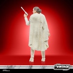 eAj 빈티지 컬렉션 파드메 아미달라, 클론의 공격 프리미엄 3.75인치 수집용 액션 피규어 : 이에이룰라