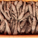 신선창고 깐 더덕 강원도 횡성 손질 생 400g 국산 향긋 고랭지 : 환희로운가게