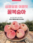 [수암종합시장] 나경상회 복숭아 : 나경상회