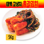 국내산 고냉지 태백골 총각김치 5Kg : 식자재유통 짱하오
