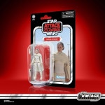 eAj 빈티지 컬렉션 파드메 아미달라, 클론의 공격 프리미엄 3.75인치 수집용 액션 피규어 : 이에이룰라