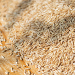 25년 햇귀리 국산 귀리쌀 1kg 곡물 중 유일한 슈퍼푸드 혈당, 당뇨에 좋은 잡곡밥 : 부안 귀리 한울영농조합법인