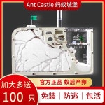 개미 키우기 관찰 키트 개미집 곤충 학습 미니 사육장 S12 싱글 캐슬 (개미X) : Planet  Shop