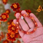 메리골드-피어나는 행복 : B.oneul 비.오늘