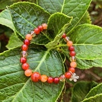 메리골드-피어나는 행복 : B.oneul 비.오늘