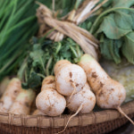 NP 국내산 강원도 알타리 무 5kg (3단내외) 농장직송 : KnS라이프