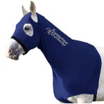 양면 반사 문자가 있는 없는 호르즈메텍스 스트레치 후드 안전 야간 시야 확보 라이크라 마네 M Burgundy : 벧엘컴퍼니