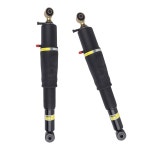 PAROD 2PCS 후방 22187156 충격 흡수 스트럿 장착 02-14 캐딜락 에스컬레이드, 03-14 ESV, 02-13 EXT, 2000-14 교외 1500/ /GMC 유콘... 
