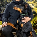 대형견을 위한 PawsPassion 도그 칼라, 금속 버클이 헤비 퀵 칼라 뛰어난 L) 듀티 있는 전술 풀 펫 릴리스, 칼라(에버그린, 내구성이 나일론 노... 