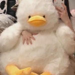 오리애착인형 대왕인형 95cm 선물 안아줘요 대형 푹신푹신한 : 아라가나다고야도이길