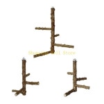 kx4b 앵무새 퍼치 스탠드 회전 조류 놀이 장난감 케이지 엔터테인먼트 : 아우름종합유통