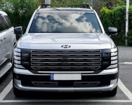 팰리세이드 LX3 전용 그릴 몰딩 방충망 커버 디올뉴 팰리세이드 튜닝용 액세서리 : 쉘위마트