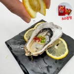 통영 석화 하프셀 반각굴 삼배체굴 조개구이 : 춘백이수산