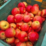 부사사과10kg 경북 못난이사과 흠집 10키로 쥬스용 주스용 : 맑은곳간