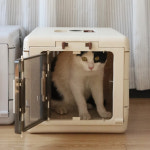 레드퍼피 에스텔켄넬 : 펫라인 시스템