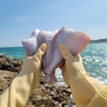 [양포어장] 국내산 포항 방어진 울산 참가자미 5팩/10마리 : 와이피씨푸드