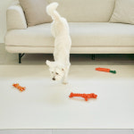 [러그140x180cm] 디팡 4mm 펫 미끄럼방지 강아지 고양이 애견매트 슬개골 반려견 : 디팡