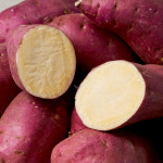 버들농산 영암 토울고구마 3kg : 햇살조은