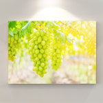 돈들어오는 샤이닝 럭키 청포도 풍수 인테리어 그림 캔버스 액자 30호 [90.9x65.1cm] : 인메이블