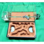 개미 집 키우기 사육장 교구 개미집 키트 관찰 세트 둥지 1개(유리+차단막) : 글로바이다