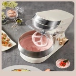 Liren 셰프 기계 홈 새로운 자동 소형 다기능 국수 혼합 직물 및 경화 50Hz 800W : 지성유통.