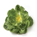국내산 봄동 배추 특품 4kg, 1개 : 올푸른푸드