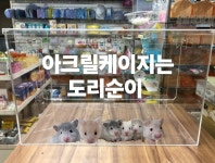 올 아크릴 햄스터 케이지 사육장 단일케이지 120X60X60cm : 도리순이