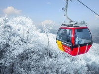 2026년 1월 7, 10일, 13일, 17일, 18일 발왕산 케이블카 월정사 숲길 당일여행 : 라온투어