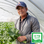 유기농 케일 샐러리 2kg 1kg 곱슬케일 주스용 즙용 녹즙용 : 세모농.