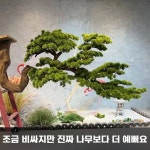 인조 소나무 거꾸로 가짜 나무 장식 병원 인테리어 조화 0.6m : 픽텔쓰리