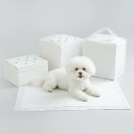 엄지 반려동물 배변패드 50매  100% 국내생산 : 주식회사 코코넛