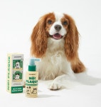 강아지 뿌리는 치약 치석 스프레이 치석 제거제 구강 덴탈 스프레이 : 서포트 몰