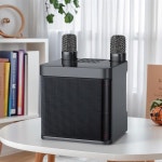 진공관스피커,포칼스피커,컴퓨터스피커,원격스피커휴대용 듀얼 마이크 노래방 기계 가정용 KTV 시스템 HIFI 스테레오 블루투스 마이크 용 용... 