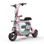 삼륜전기자전거 강아지 바이크 애견 경량 스쿠터 삼발이 근거리 하단수납 10A 주행 40-50km 48V : 픽텔쓰리