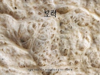 모락 로컬 발효 베이커리 3종 : 모락 베이커리