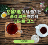 보향다원 보성 차밭에서 즐기는 품격 있는 보성티 디저트 코스 : 쉬면뭐하니