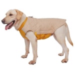 중대형견 리트리버 패딩 조끼 시바견패딩 강아지 후리스 퀼팅 보온 큰개 중형견 진돗개 베 M 5 8근 권장 : 데일리굿즈11