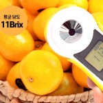 제주 감귤 고당도 조생 귤 농장 산지직송 4.5kg 9kg : 로컬바구니