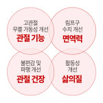 [임상완료] 펫생각 강아지 관절 영양제 칼슘 슬개골 고관절 관절염 조인트 프로, 60정, 3개 : 펫생각 스토어