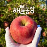 [해쁠농장] 사과 경북 포항 고당도 부사 가정용 못난이 흠과 주스용 아침용 꿀사과 : 해쁠농장